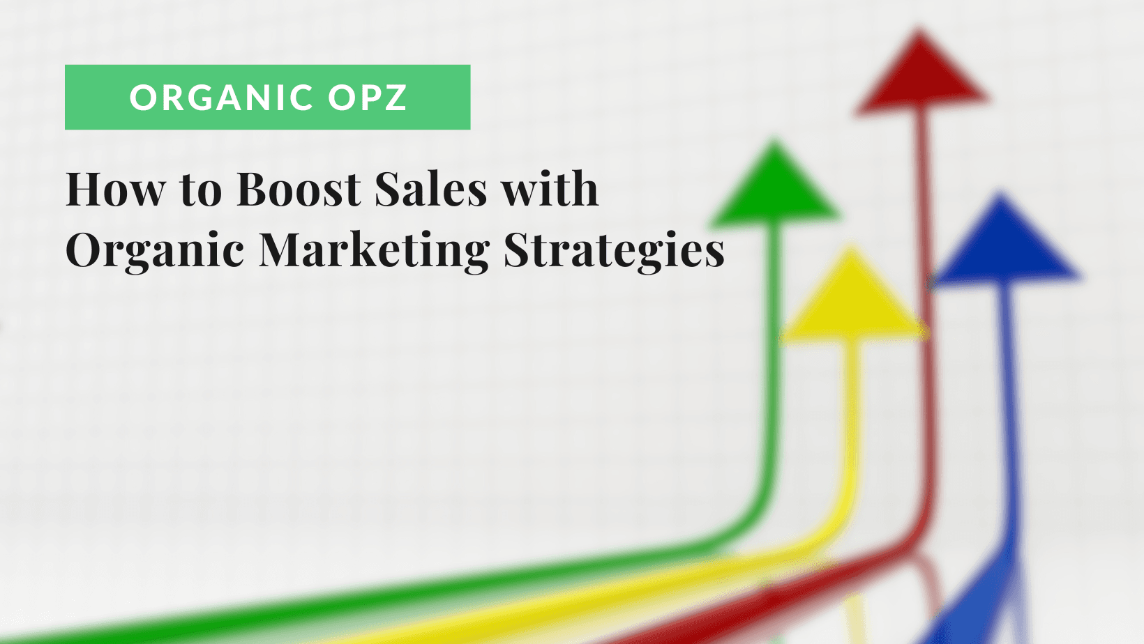 How to Boost Sales with Organic Marketing Strategies