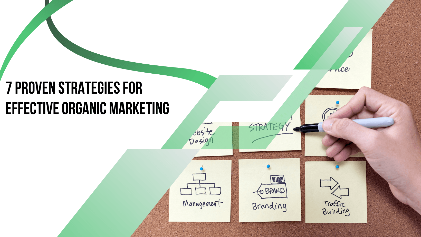 7 Proven Strategies for Effective Organic Marketing