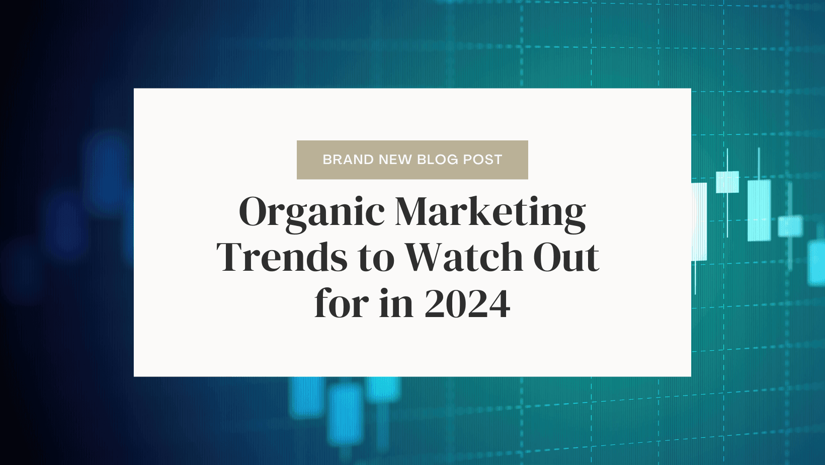 Organic Marketing Trends to Watch Out for in 2024