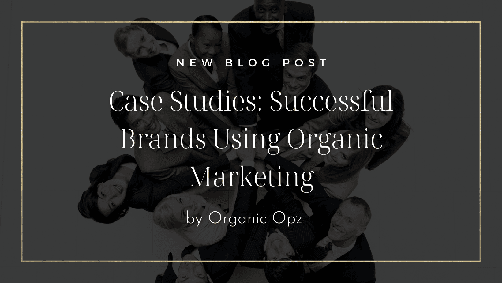 Case Studies: Successful Brands Using Organic Marketing