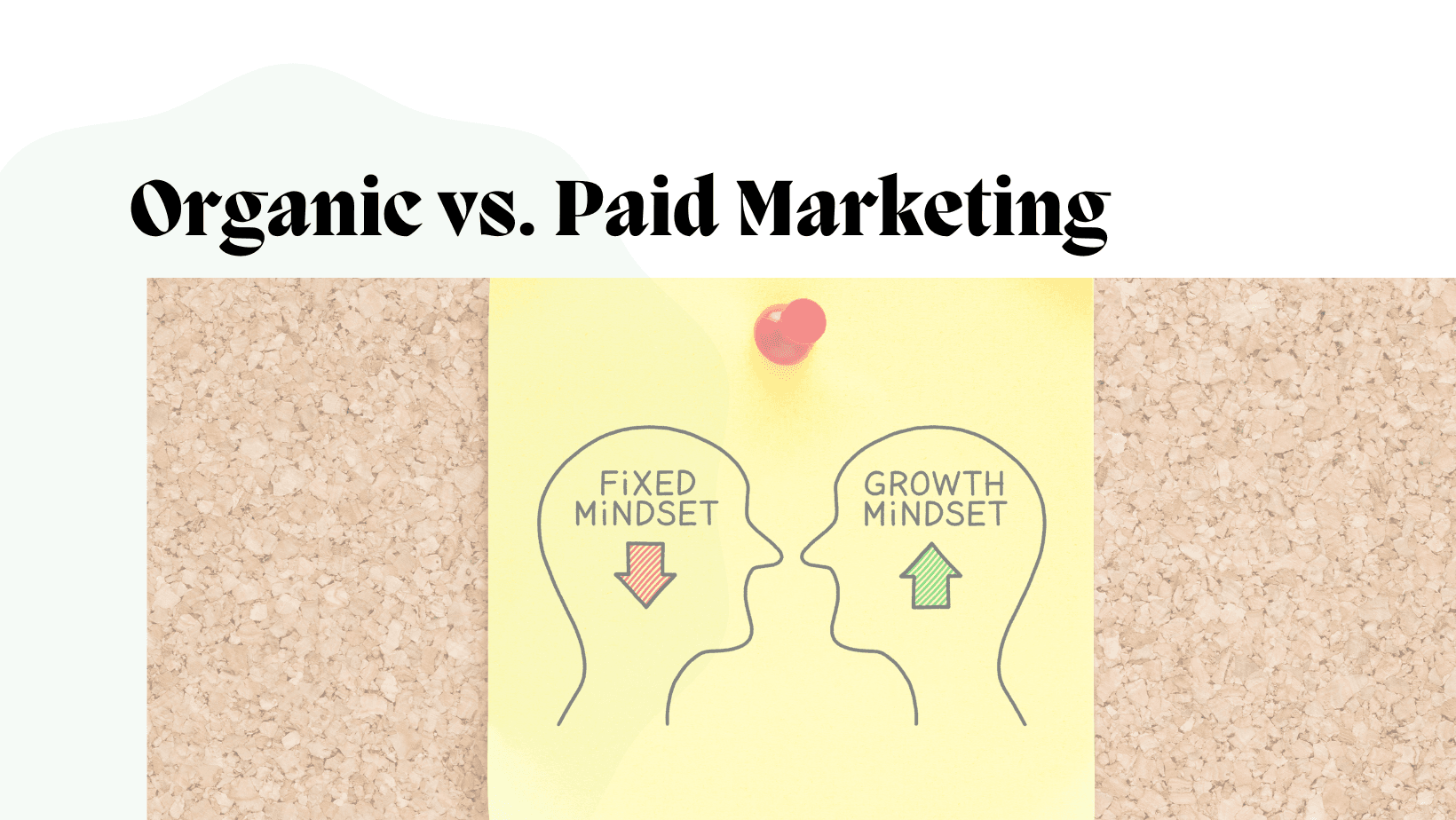 Organic vs. Paid Marketing: Which One Wins for Conversions?