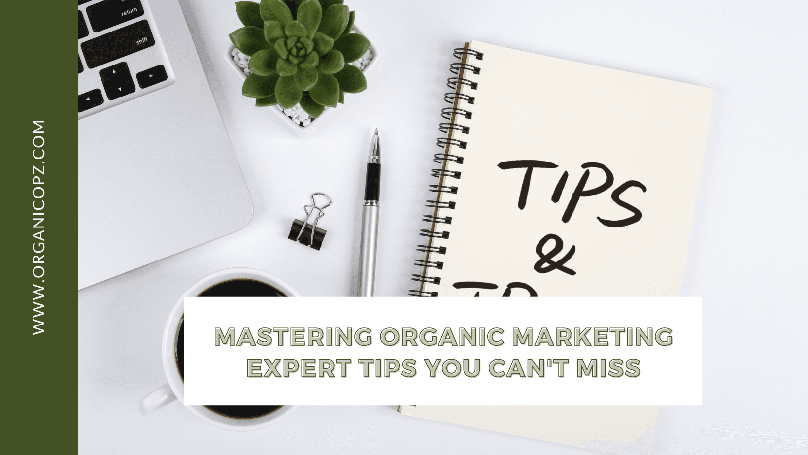 Mastering Organic Marketing: Expert Tips You Can't Miss