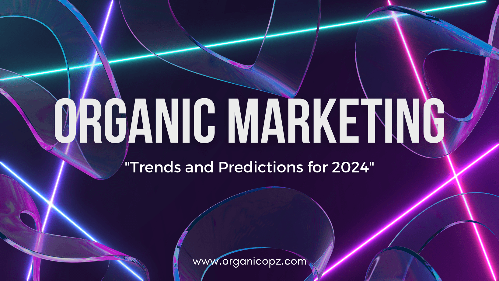 The Future of Organic Marketing: Trends and Predictions for 2024