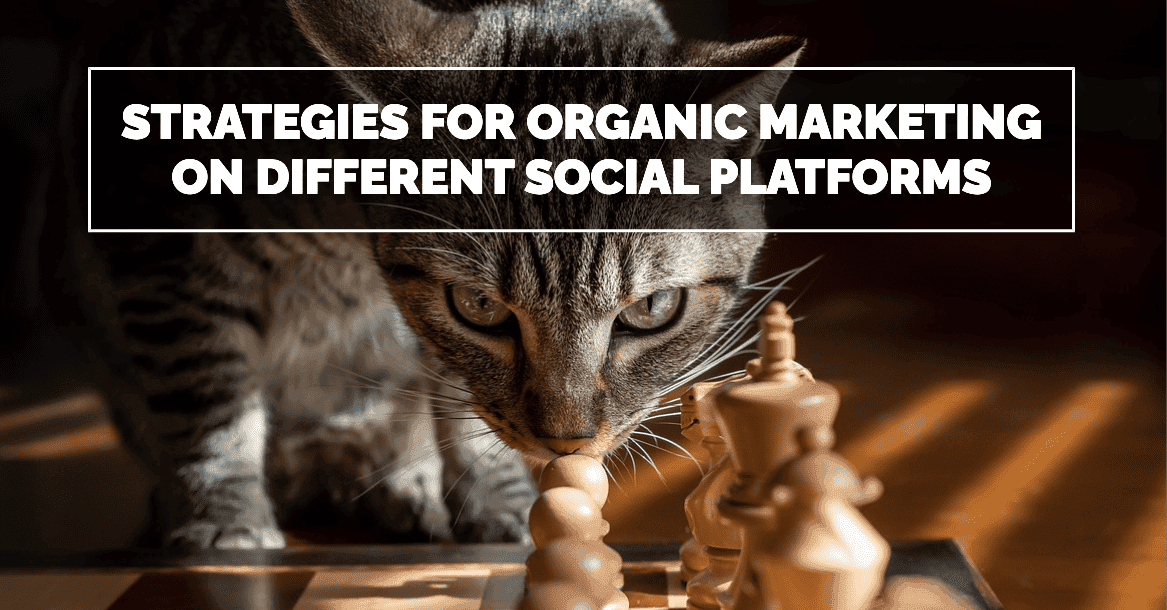 Strategies for Organic Marketing on Different Social Platforms