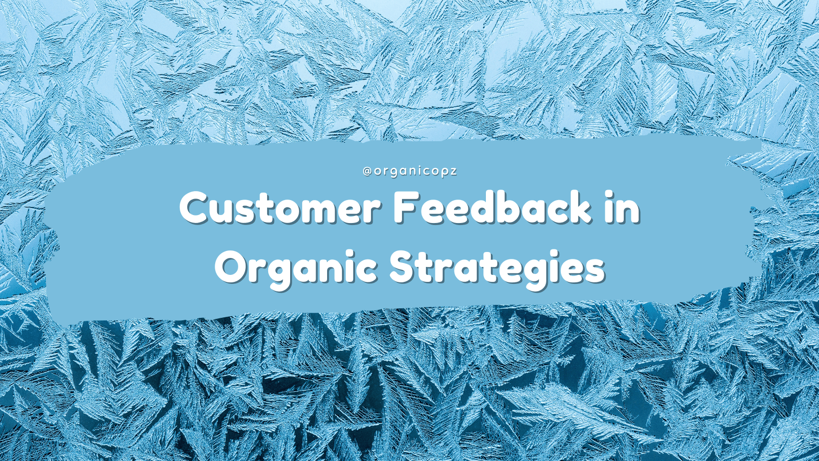 The Role of Customer Feedback in Organic Strategies