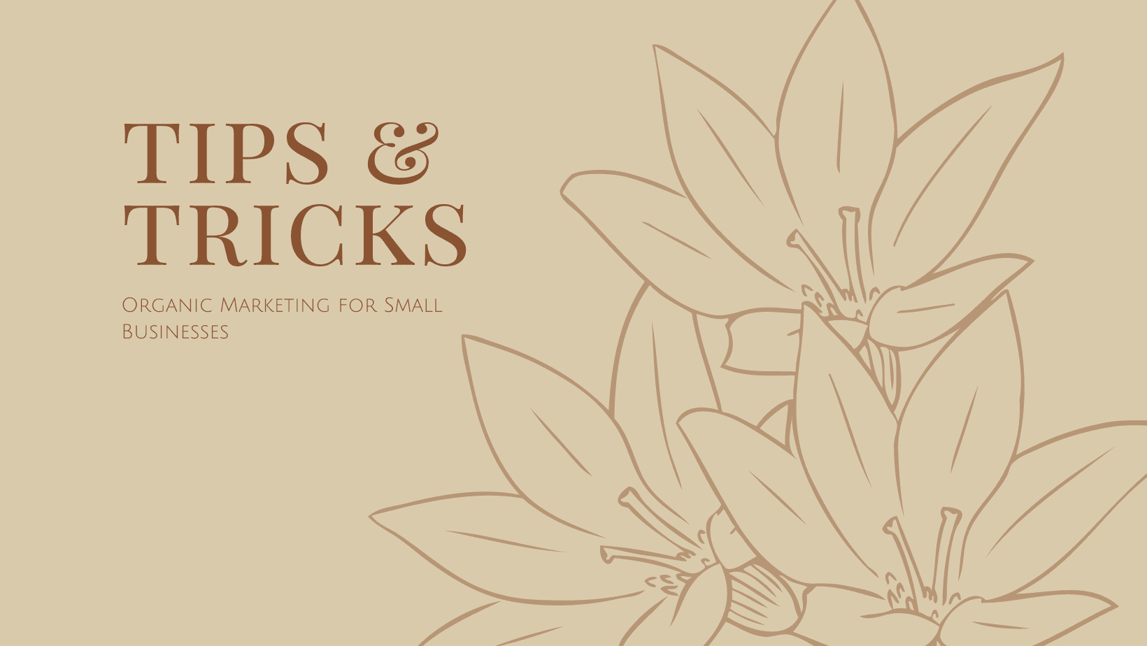 Organic Marketing for Small Businesses: Tips and Tricks